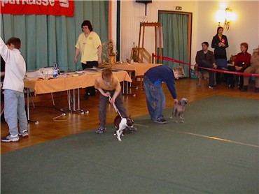 jeder mu� seinen Hund pr�sentieren