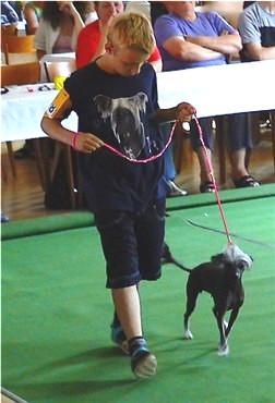 Kind und Hund harmonieren gut miteinander