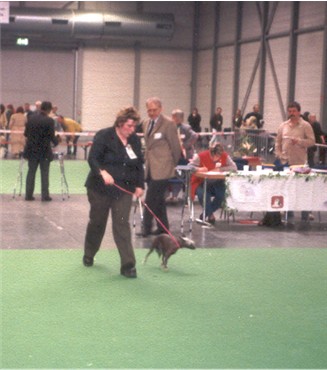 Vicky beim Richten