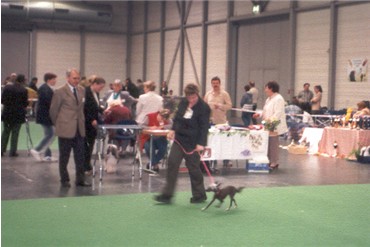 Richten von Vicky