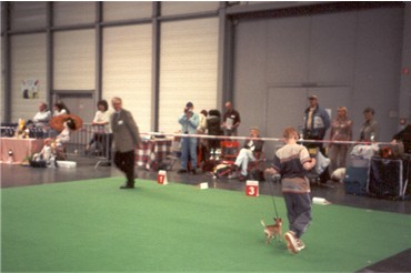 Christoph und Piggy beim Juniorhandling AK1