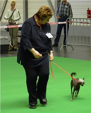Vicky mit Frauchen beim laufen