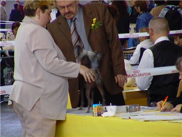 korr. Kopf mit Scherengebi�