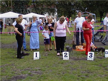 zweiter Platz, V2 Klasse!!!