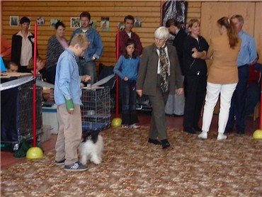 Chrisi & Chiva beim Juniorhandling