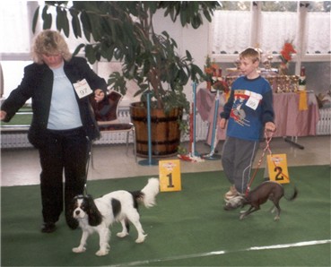 Entscheidung Bester Juniorhandler (Sieger AK1 und AK2)