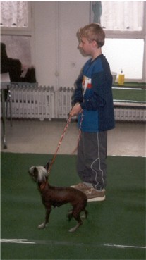 Christoph und Vicky beim Juniorhandling AK1