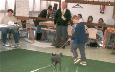 Christoph und Vicky beim Juniorhandling AK1
