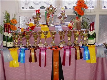 zuvergebene Pokale der Ausstellung