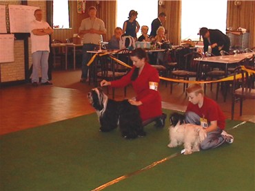 beim stechen mit Altersklasse 2 erreichen beide den 2. Platz