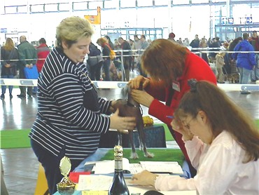 korr. Schere, harm. aufgebaut