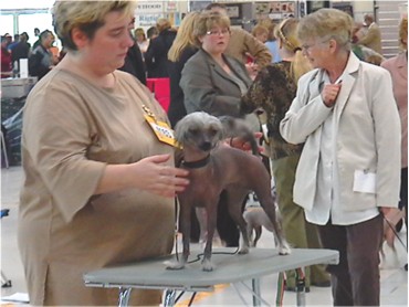 gute Gr��e, gute Behaarung