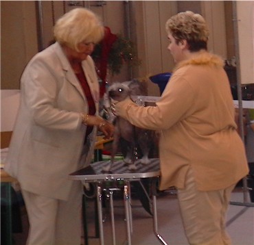 Vicky bei Richterin Frau Heine