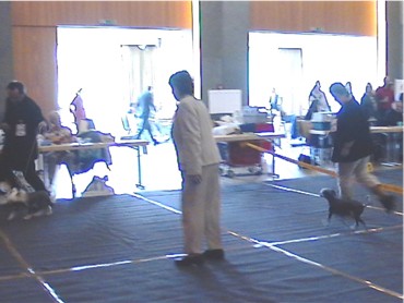 Ausstellung in Kerpen