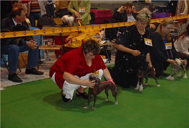 wunderbar