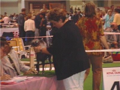 H�ndin v. guter Gr��e&Typ, fem. Kopf