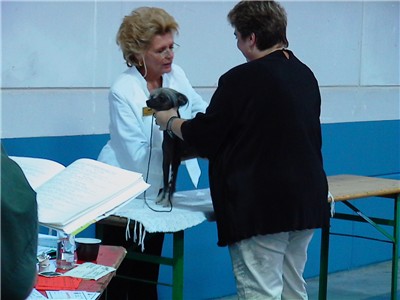 Richterin Monique van Brempt