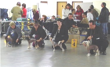 Ausstellung in Unna