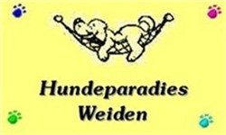 Hundeparadies Weiden
