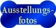 Ausstellungsfotos
