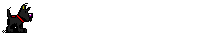 schwarzer Hund