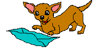 E-Mail an Webmaster Hairless Dogs
