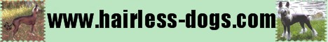 Logo Hairless-Dogs.com