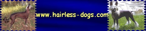 Logo Hairless-Dogs.com