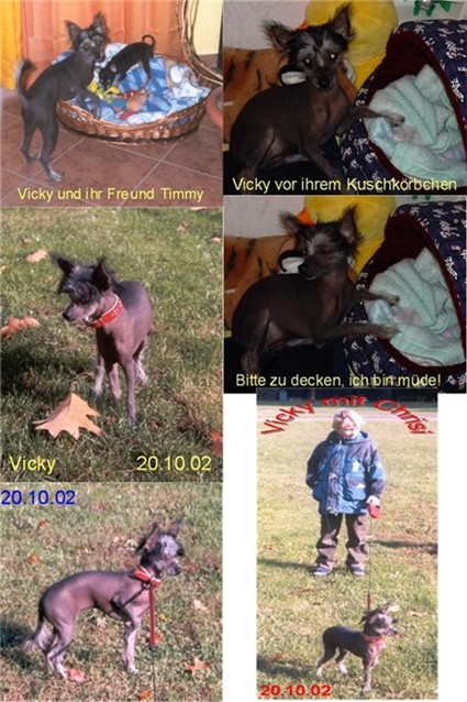 Di Gabriellas Vicky