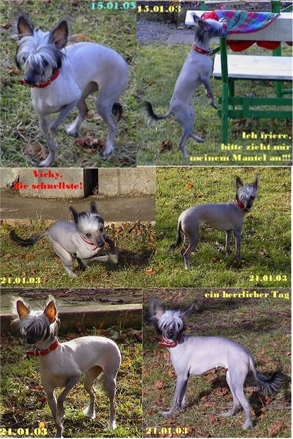 Di Gabriellas Vicky