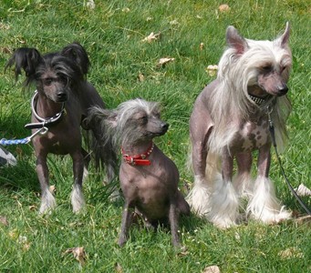 Gl�ckliche Familie